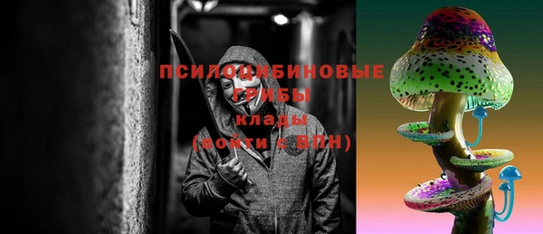 гашик Алзамай