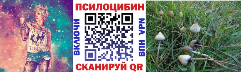 Псилоцибиновые грибы Psilocybe  Десногорск 